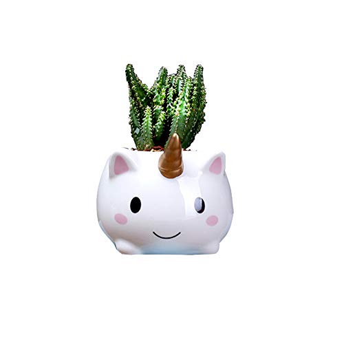 Unicorn Plant Pot Planter Gift And Home Decoration