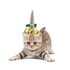 Unicorn Dog & Cat Costume | Novelty Pet Outfits | Silver Horn