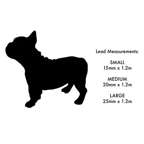 Unicorn Design Dog Lead | Purple | Medium | Red Dingo