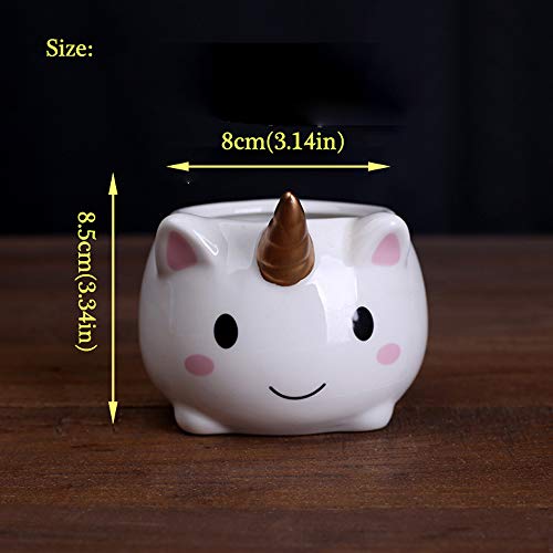 Unicorn plant Pot
