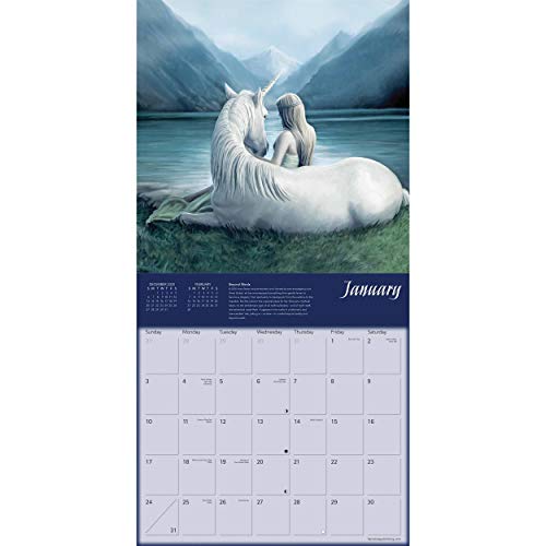 Anne Stokes Unicorn 2021 Calendars 