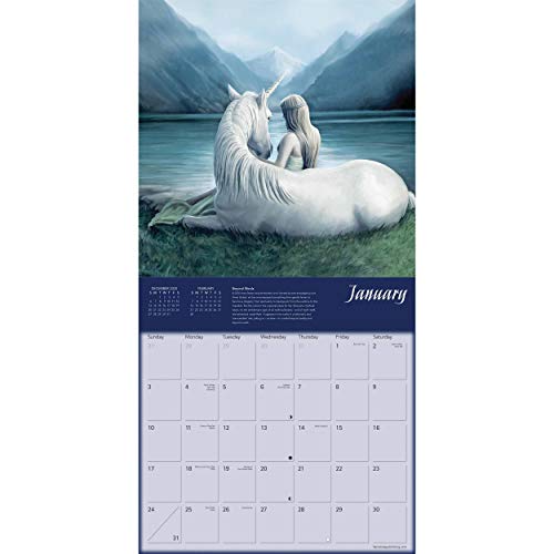 Anne Stokes Unicorn 2021 Calendars