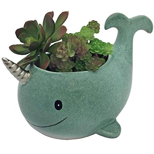 unicorn narwhal plant pot