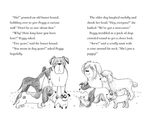 Kids Unicorn Book For Christmas