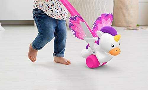 Cute Unicorn Push Along Walker