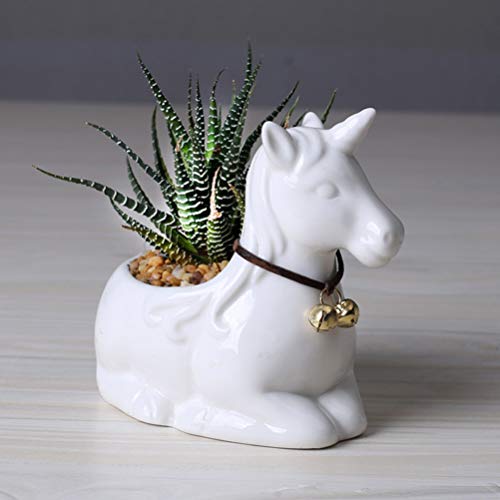 Unicorn cactus plant pot