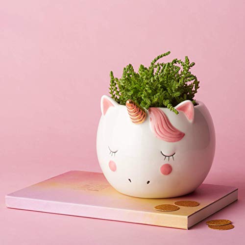 Unicorn plant pot pink