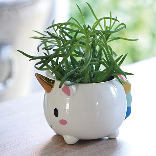 Unicorn planter