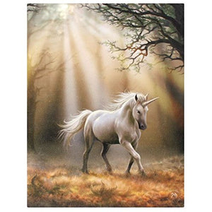 Unicorn Canvas Picture By Anne Stokes | Small Glimpse