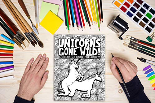Funny Adult Rude Unicorns Colouring Book 