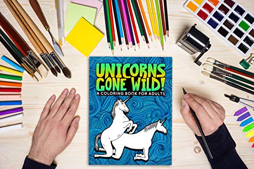 Adult Colouring Book - Rude Unicorns 