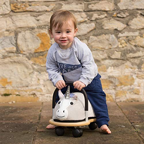 Toddlers Ride On Unicorn With Wheels