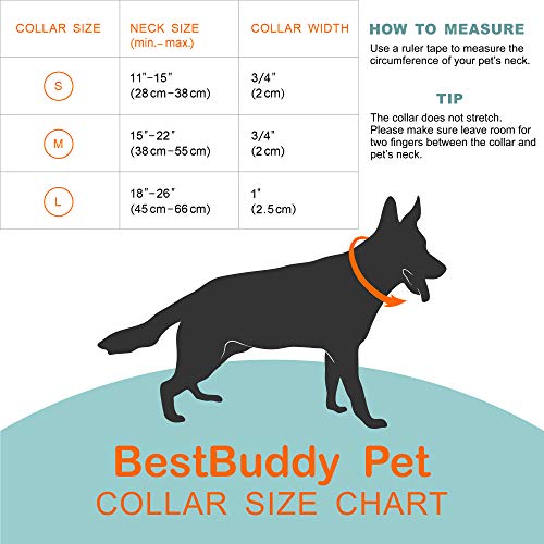 Unicorns & Rainbows Dog Collar | Adjustable With Buckle | 11" - 15" | Bestbuddy Pet