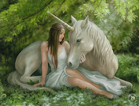 Stunning Unicorn Canvas Picture | Anne Stokes 