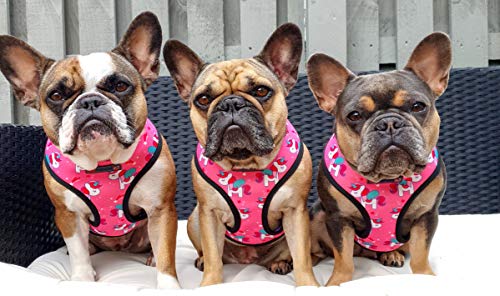 Love Frenchie | Reversible Harness, Collar 7 Lead | Unicorn Design | Medium