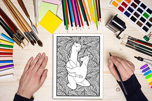 Unicorns Gone Wild: A Colouring Book For Adults: 35 Funny Pages | Secret Santa Gift