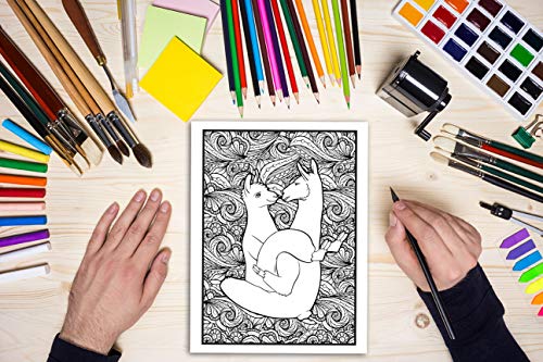Unicorns Gone Wild: A Colouring Book For Adults: 35 Funny Pages | Secret Santa Gift