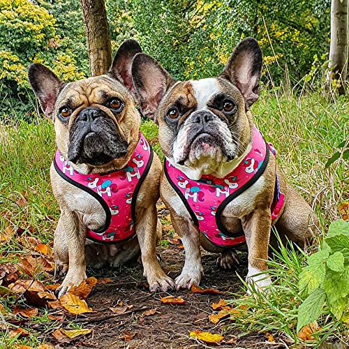 Love Frenchie | Reversible Harness, Collar 7 Lead | Unicorn Design | Medium