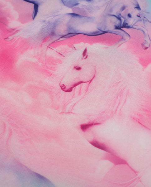 unicorn print swimwear