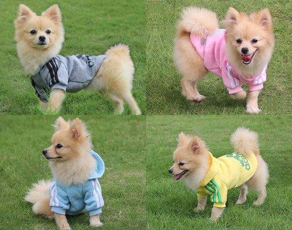 Adidas Dog Outfit Costume - All Colours (Unicorn Worthy)