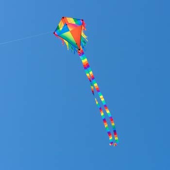 Rainbow Multicoloured Kites