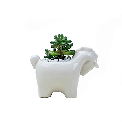 Unicorn plant pot for indoor and outdoor
