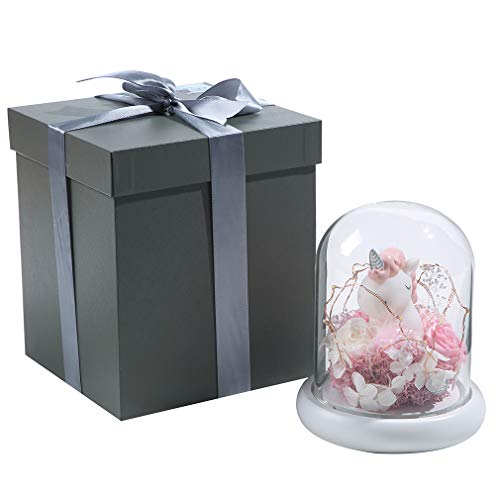 Unicorn Gift With Glass Dome & Gift Box 