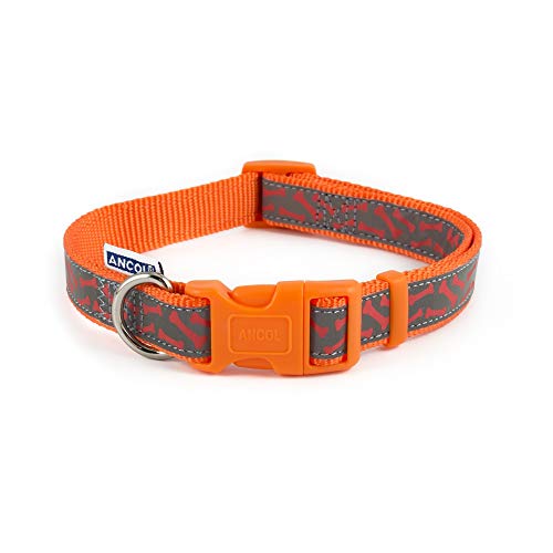Ancol Dog Collar | Orange
