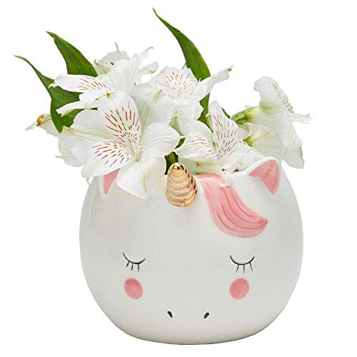 Unicorn plant pot - pink white gold