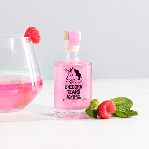 Raspberry Gin Miniatures | Gift Idea 