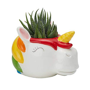 Happy Rainbow Unicorn Planter Plant Pot