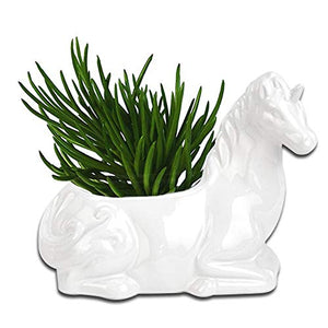 ceramic unicorn garden plant pot