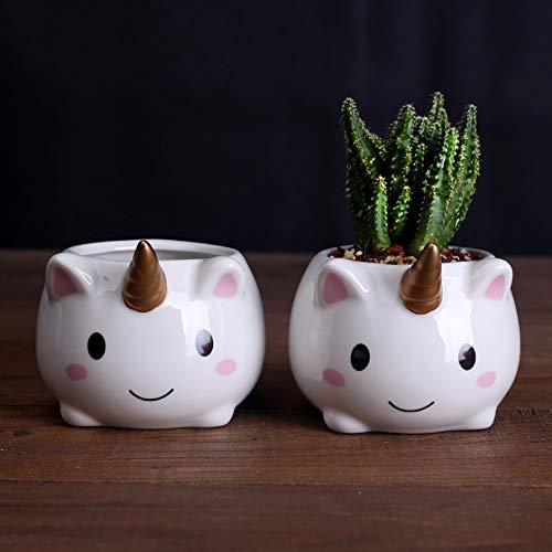 Unicorn Mini Flower Plant Pot Gift For Home Decoration