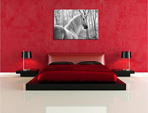 Unicorn Artwork Canvas Print