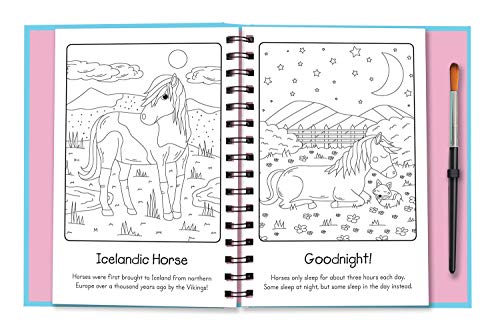 Magic Painting Book | Unicorn Design 