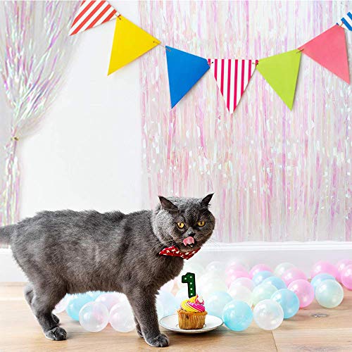 Unicorn Party Decorations | Tinsel Curtains, Foil Fringe Shimmer Streamers Curtain (Transparent Multicolour)