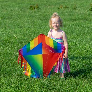 Kids & Adults Unicorn Kites 
