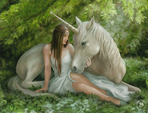 Stunning Unicorn Canvas Picture | Anne Stokes 
