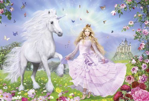 Magical unicorn princess puzzle
