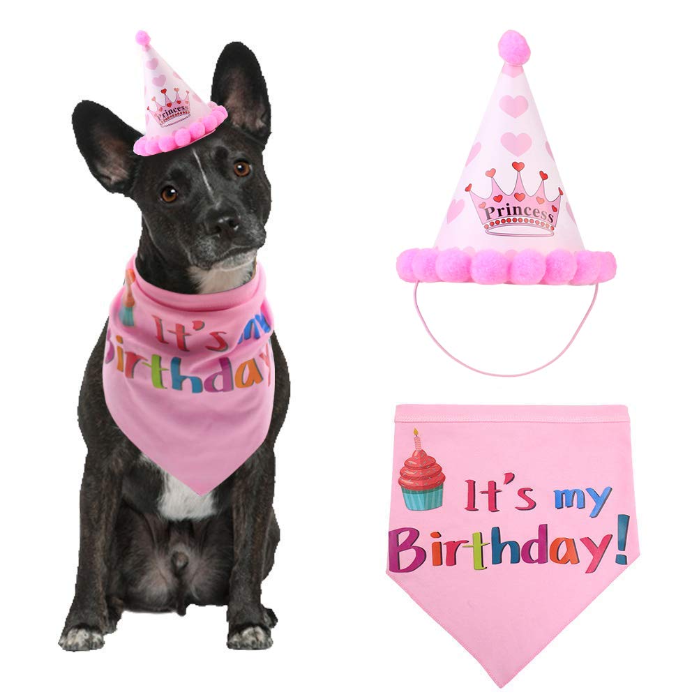 Dog Unicorn Birthday Costume with Party Hat - Pink